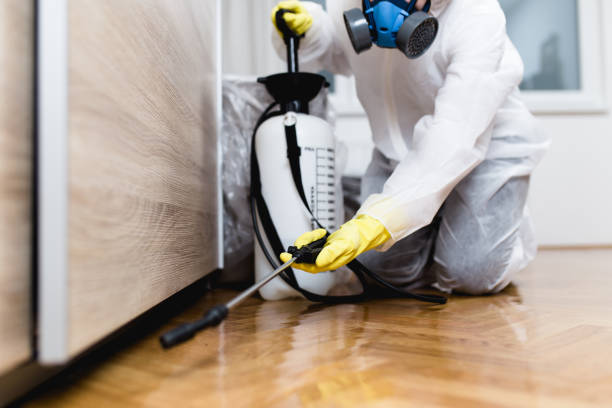 Best Pest Control for Restaurants  in Mount Vernon, NY