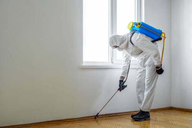 Best Spider Control Near Me  in Mount Vernon, NY
