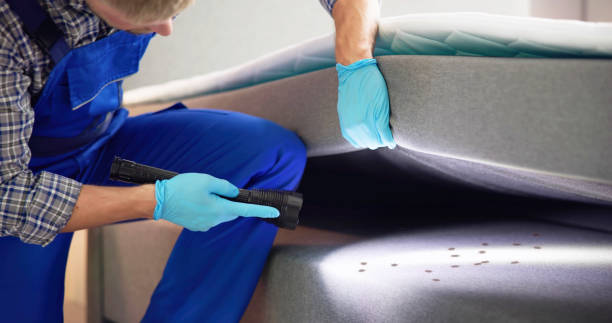 Best Exterminator Services  in Mount Vernon, NY