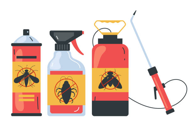 Best Termite Control Services  in Mount Vernon, NY