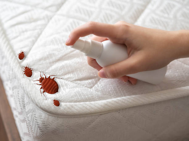 Best Cockroach Control Services  in Mount Vernon, NY