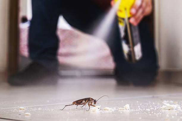 Best Bed Bug Extermination  in Mount Vernon, NY