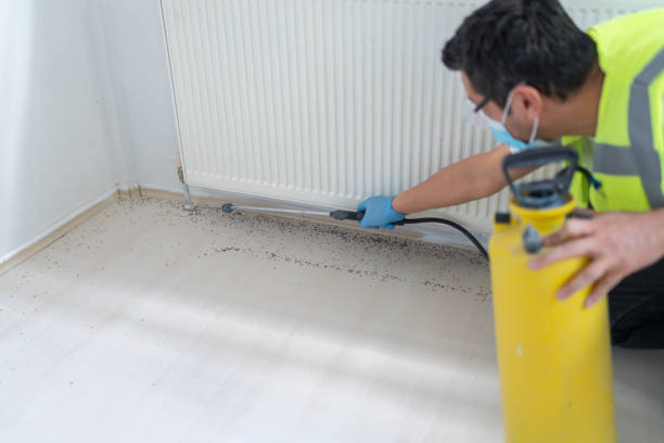 Best Pest Removal Services  in Mount Vernon, NY