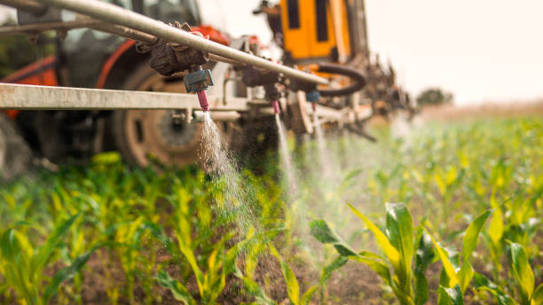 Best Mosquito Control Services  in Mount Vernon, NY